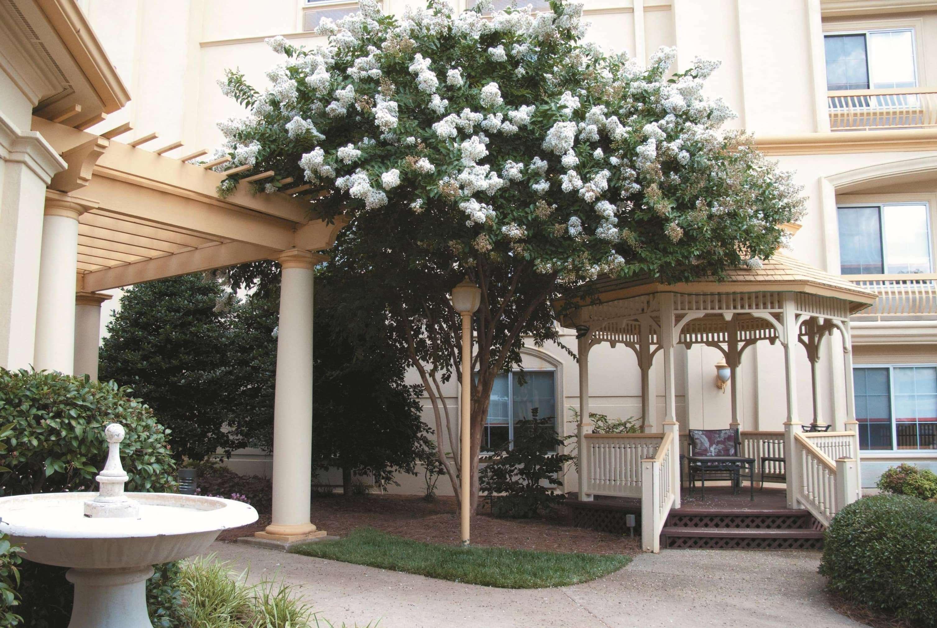 La Quinta By Wyndham Raleigh Crabtree Hotel Exterior photo